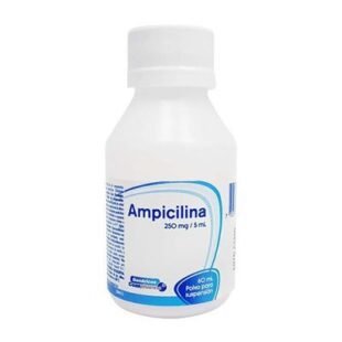 AMPICILINA 250 MG SUSPENSION 60 ML COA
